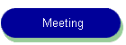 Meeting